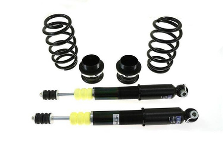 Street Suspension FORD MUSTANG 6 CYL 05-14 D2 Racing