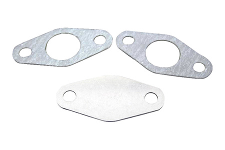 EGR blanking plate Renault Laguna 1.9 DTI