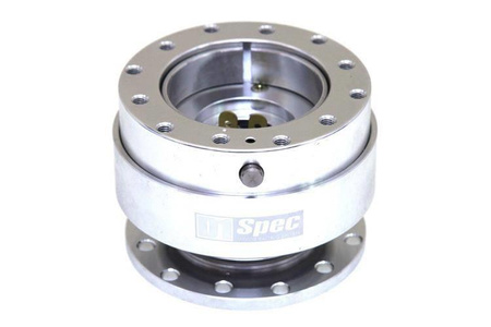 Quick Release Silber D1Spec