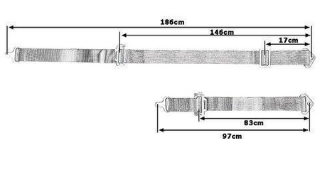 Rennsportgurt 4-Punkt 2" grün – mit Quick Release Mechanismus  