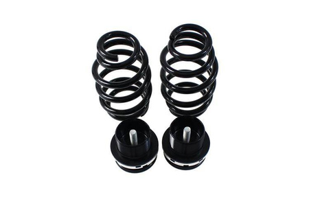 Straßenfahrwerk AUDI A3 HATCH 3D 8P 4WD ?55 03-12 D2 Racing