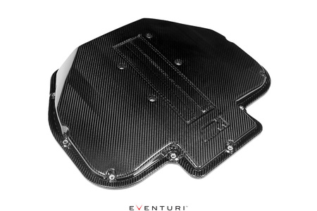 Intake manifold cover BMW E39 M5 / Z8 S62 V8 Carbon Eventuri