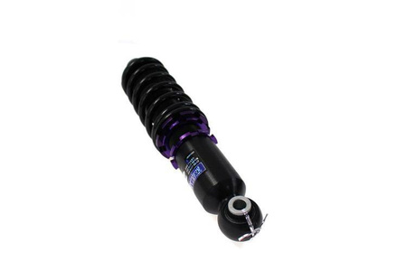 Straßenfahrwerk MINI COOPER (R50) 01-06 D2 Racing