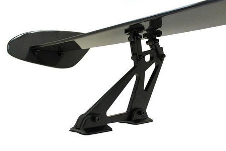 Spoiler Carbon 09
