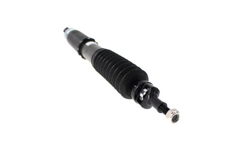 Straßenfahrwerk AUDI A3 SPORTBACK 8V ?50 (Rr Twist- beam Suspension) 12-20 D2 Racing