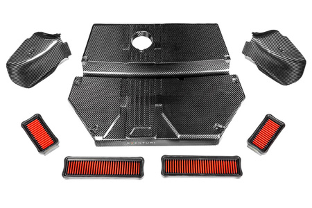 Ansaugsystem BMW F9X X3M / X4M Carbon Eventuri