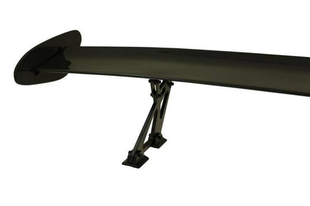 Spoiler Carbon 09