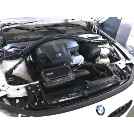 Sistema de admisión BMW 3 (F30) 320 i, 2011+ 135kw / 184CV ARMASPEED