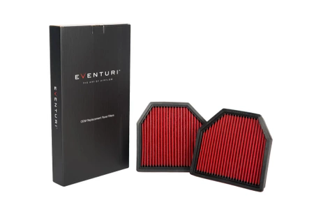 Air filter BMW F1X M5 / M6 (Pair) Eventuri